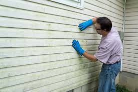 Best Residential Vinyl Siding Installation  in USA